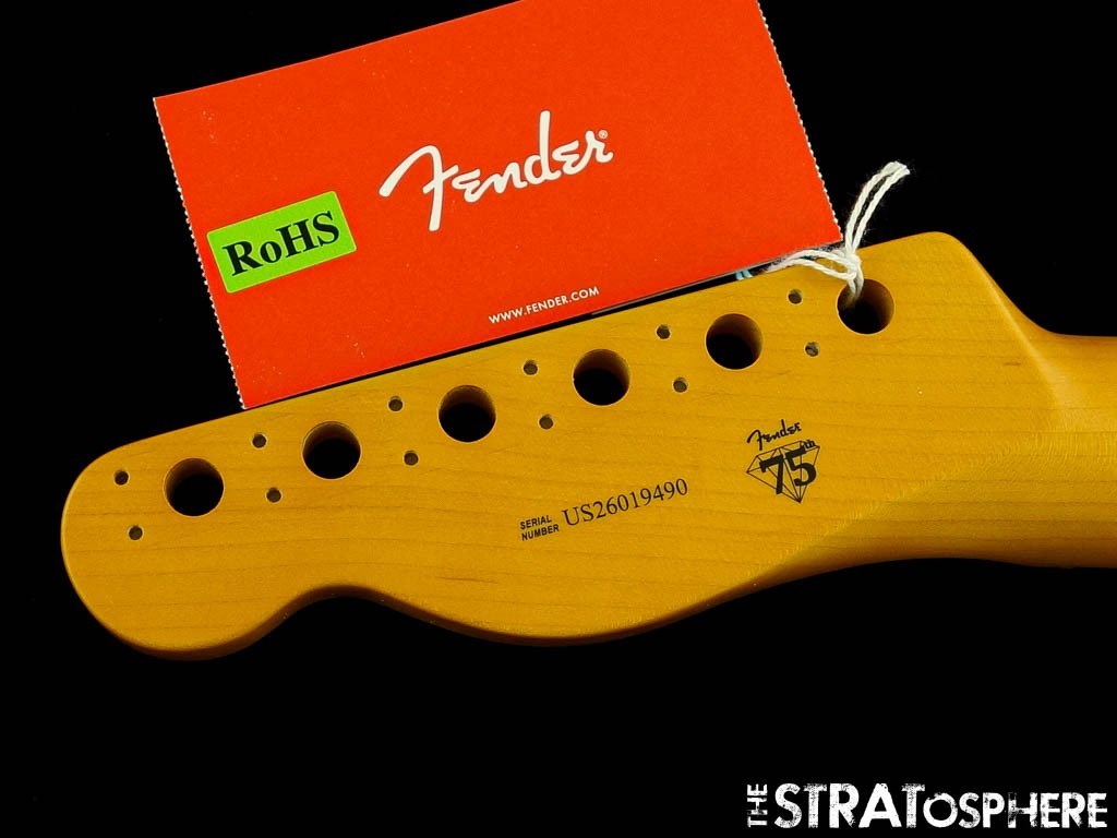 Fender American Professional Classic Tele NECK ''C'' Guitar, Part Maple!