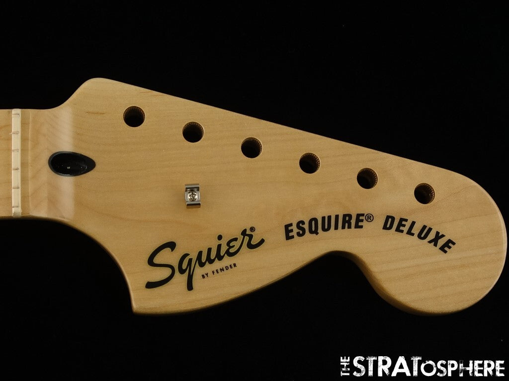 Fender Squier Paranormal Esquire Deluxe NECK C 25.5'' Maple