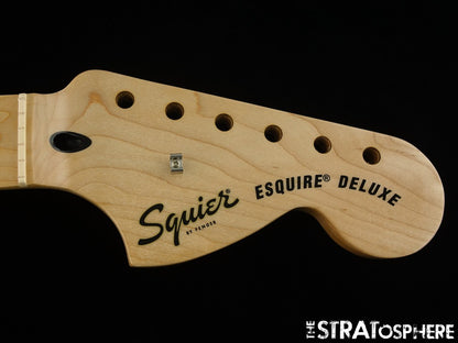 Fender Squier Paranormal Esquire Deluxe NECK C 25.5'' Maple!
