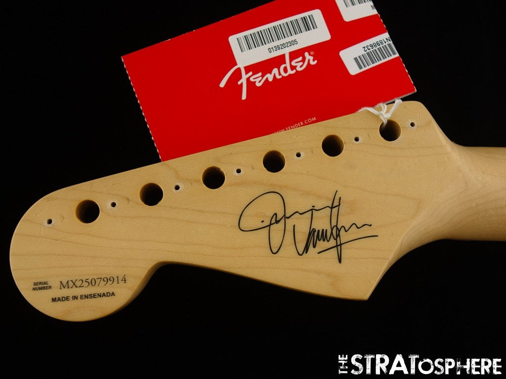 Fender Jimmie Vaughan Stratocaster Strat NECK Guitar JV Maple ''V'' $30 OFF