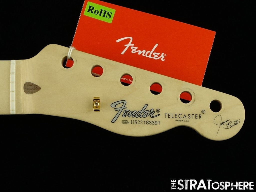 Fender James Burton Tele BODY + NECK Telecaster Basswood Maple Blue Paisley