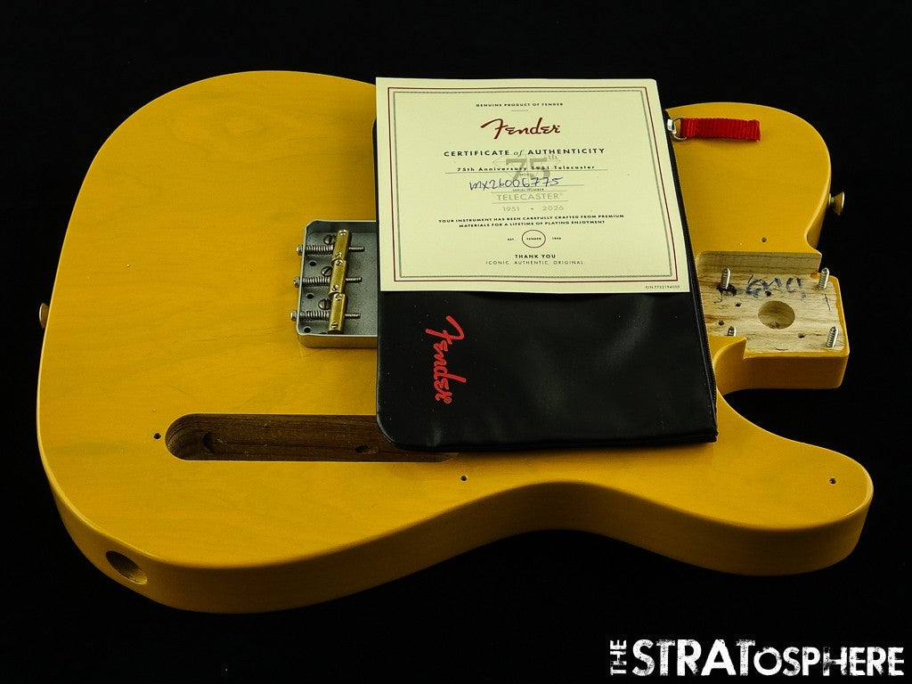 Fender 75th Anniversary Vintera Road Worn 1951 Tele BODY + HARDWARE Ash BTB