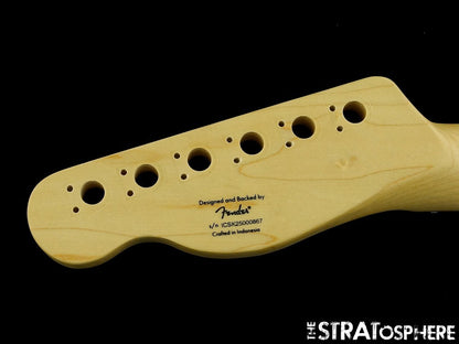 Fender Squier Affinity Series Telecaster, NECK ''C'' Shape, Tele Laurel