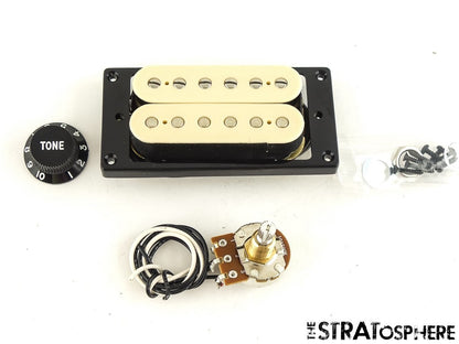 EVH Wolfgang Humbucker PICKUP POT KNOB Van Halen Cream Bridge Striped Circles