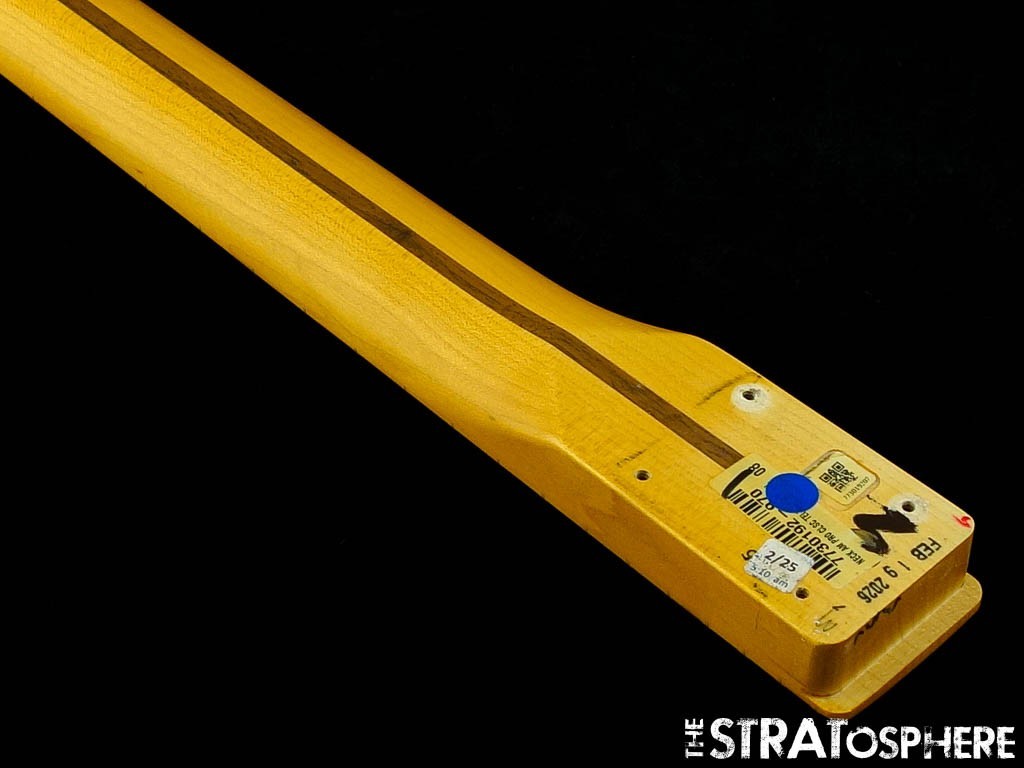 Fender American Professional Classic Tele NECK ''C'' Guitar, Part Maple!