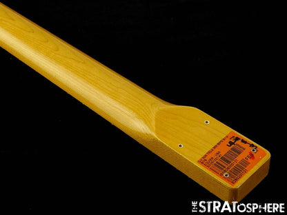 Fender Squier Classic Vibe 50s Telecaster NECK Tele Tinted Guitar Part Maple