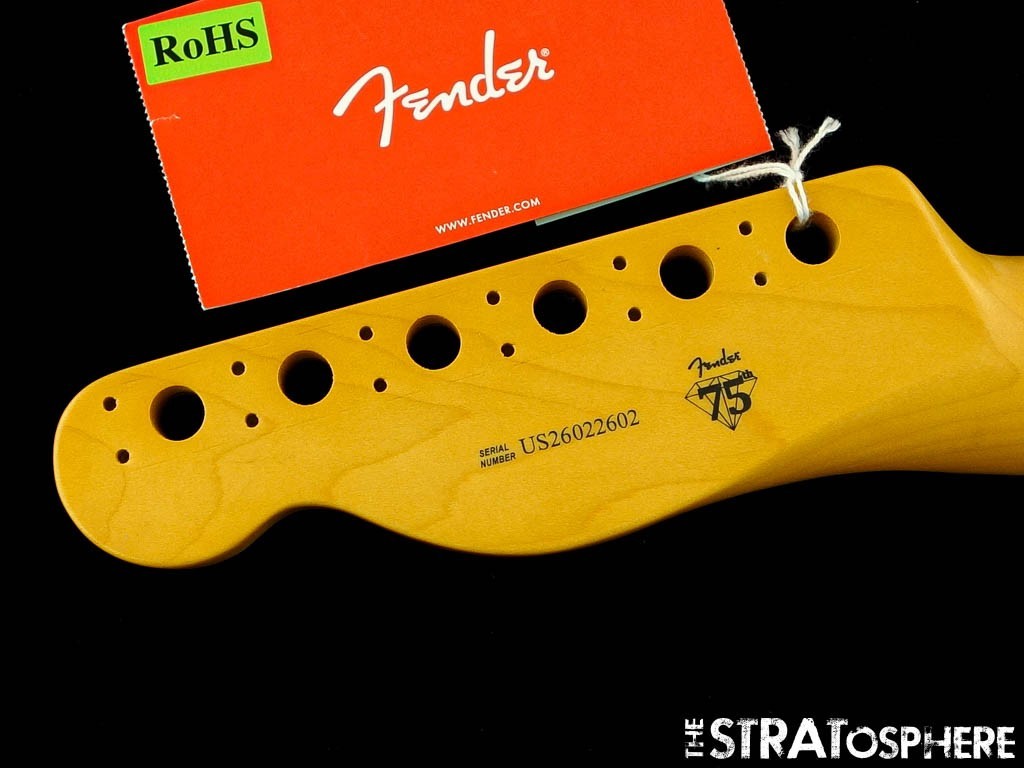 Fender American Professional Classic Tele NECK ''C'' Guitar, RW Rosewood!